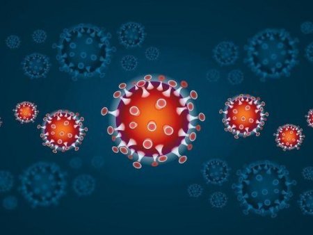 Koronavirus təhlükəsinin daha bir sirri aşkara çıxarıldı: İnsan zülalı...