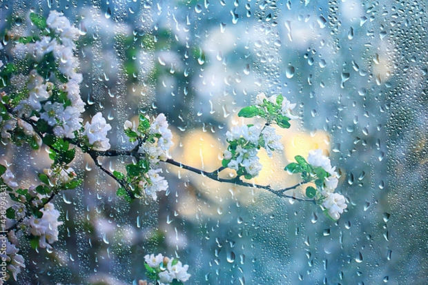 Umayra Tağıyeva: “İyunun ilk günlərində hava şəraiti qeyri-sabit keçəcək, yağış yağacaq”